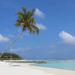 Huraa & Snorkeling Day Trip from Himmafushi with BBQ Dinner 1