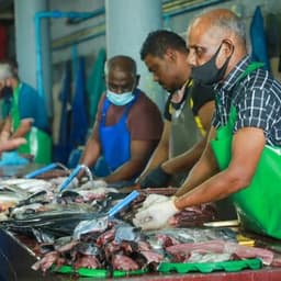 Hulhumale: 4 Hour Malé City Walking Tour 6
