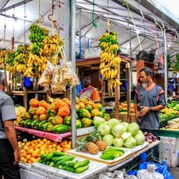 Hulhumale: 4 Hour Malé City Walking Tour 2