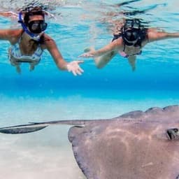 Hulhumale: 3 Hour Snorkeling Safari – Explore Kurumba Reef & Fishtank Adventure 3