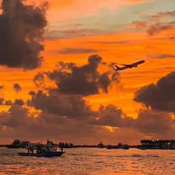 Hulhumale: 3 Hour Sunset & Dolphins: An Unforgettable Cruise Experience! 6
