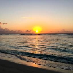 Hulhumale: 3 Hour Sunset & Dolphins: An Unforgettable Cruise Experience! 5