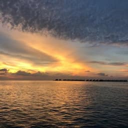 Hulhumale: 3 Hour Sunset & Dolphins: An Unforgettable Cruise Experience! 3