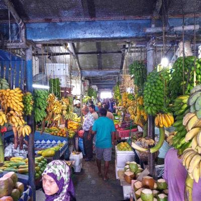 Maldives Culture and Etiquette: What Every Visitor Should Know