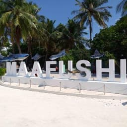 7 Hour South Malé Island Hopping: Your Ultimate Maldives Adventure 1