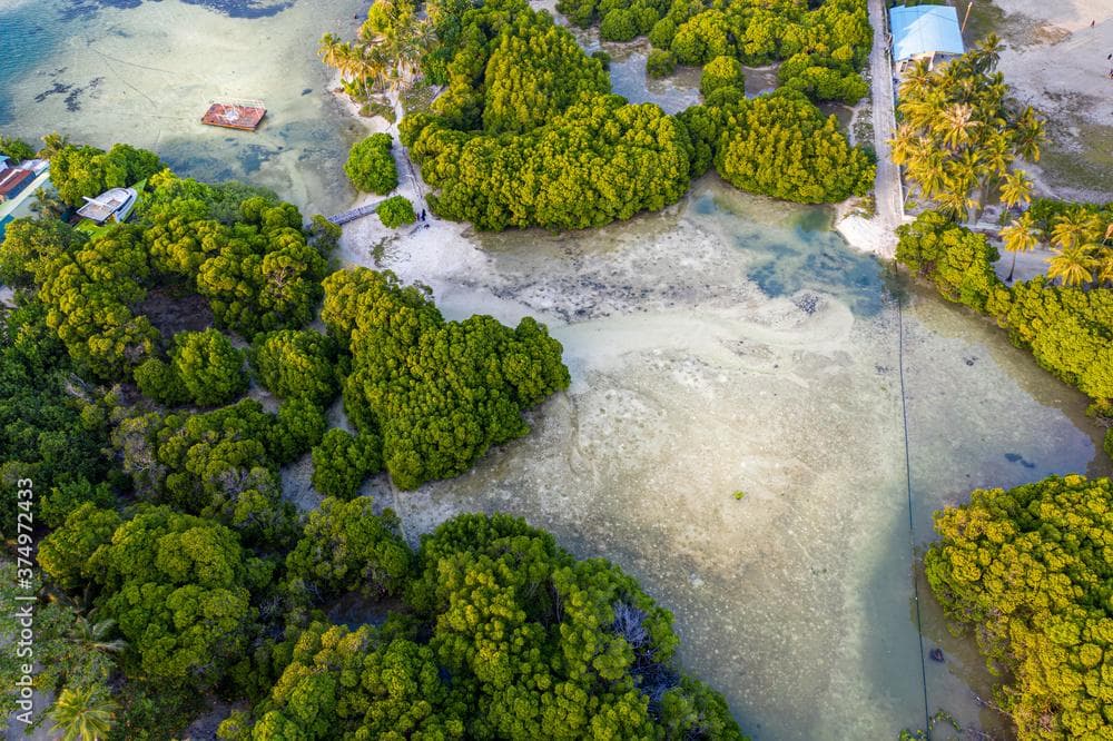 Malé: 6 Hour Huraa Island Mangrove Exploration – Authentic Island Life & Eco Adventure
