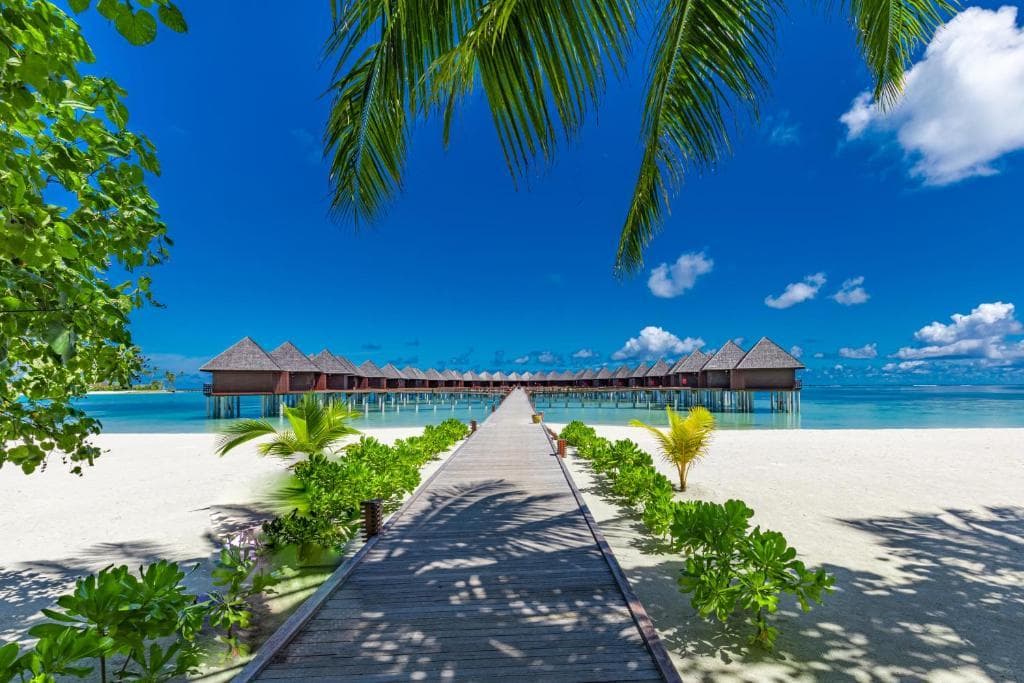 Sun Siyam Olhuveli – Luxury 5-Star Resort Day Trip