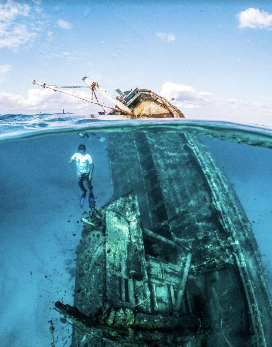Real Break Adventure – Snorkel Shipwrecks, Swim with Sharks & Dolphin Cruise