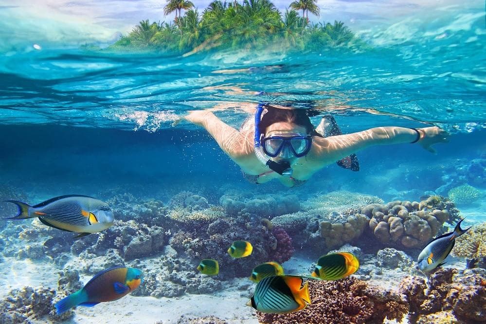 Snorkeling Adventure in the Maldives