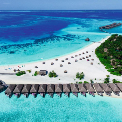 constance-moofushi-image