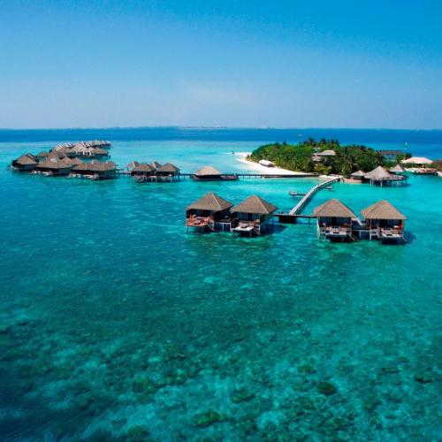 Hulhumalé: Luxury Day Trip to Adaaran Prestige Vadoo – Maldives Resort with Overwater Villas & Lunch Image