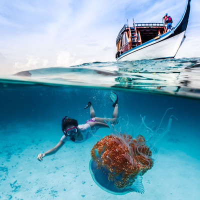 dive-boat-snorkeling-image